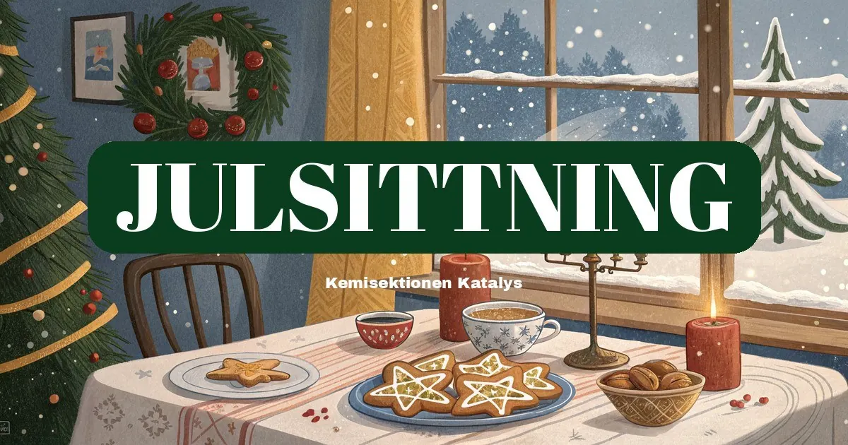 Omslagsbild för Julsittning