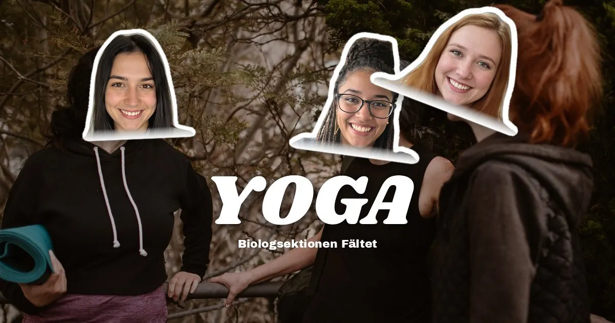 Omslagsbild för Yoga