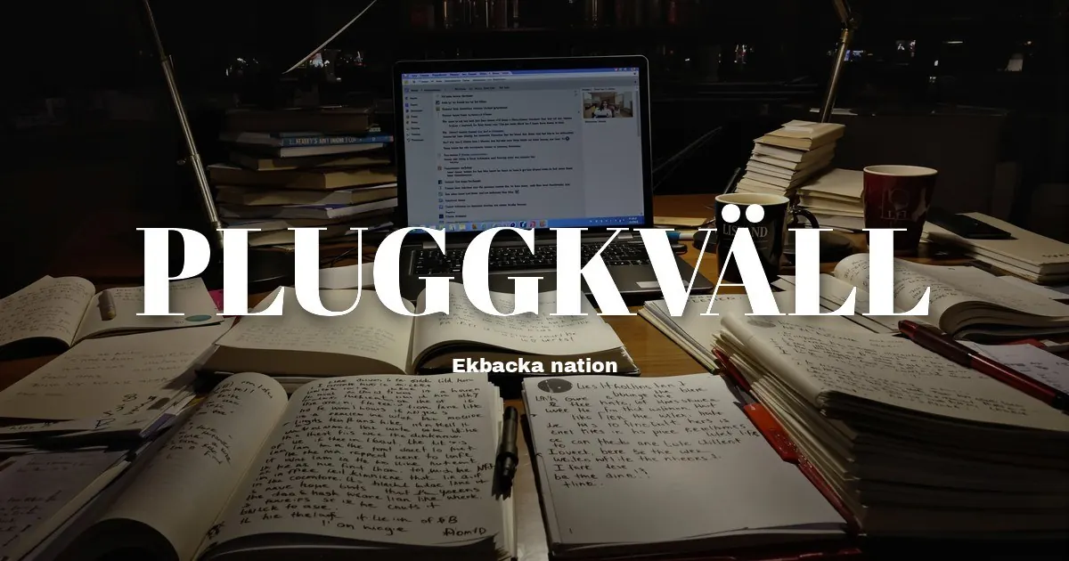 Omslagsbild för Pluggkväll
